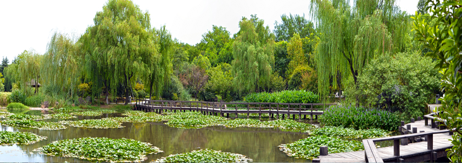 url(http://m.mihanwebcloud.com/theme/TP000163/pic/banner4.jpg)